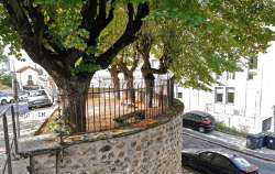 Carrefour de la demi-lune