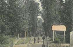 Avenue de l'hôtel de ville