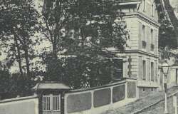 Avenue des Marronniers