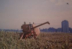 Le champ à Mr Foucher